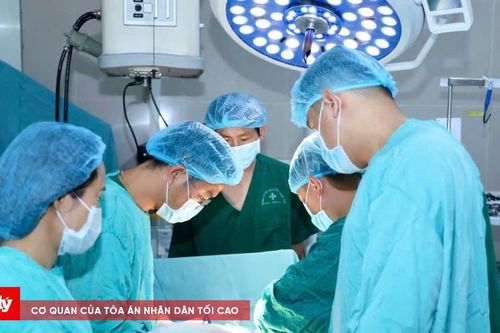 Cứu sống du khách nước ngoài nguy kịch do tai nạn giao thông