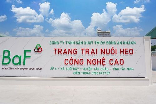 Mua lại 99,99% cổ phần nhưng không thông báo, BAF Việt Nam bị xử phạt