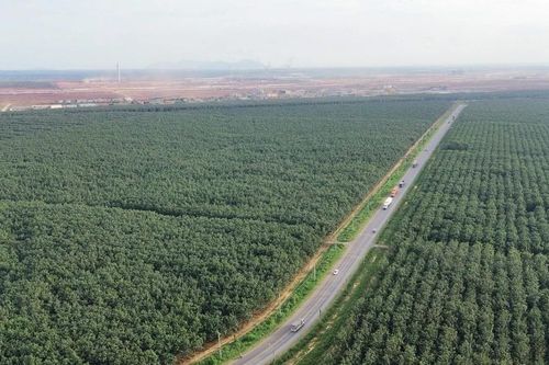 Đồng Nai: Cuối tháng 6 hoàn thành phê duyệt bồi thường 6 dự án trọng điểm