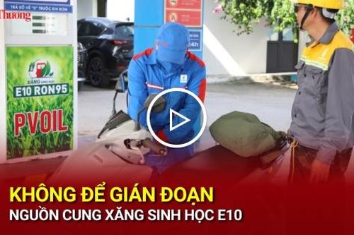 Không để gián đoạn nguồn cung xăng sinh học E10