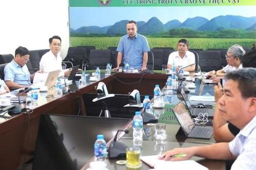 Từ 1/7, địa phương được cấp chứng nhận gạo thơm xuất khẩu sang EU, Anh