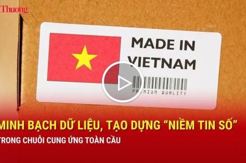 Minh bạch dữ liệu, tạo dựng 'niềm tin số' trong chuỗi cung ứng toàn cầu