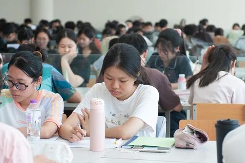 Mùa hè ở thư viện