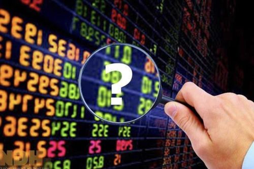 SGI Capital: Thị trường bắt đầu xuất hiện nhiều hơn các cơ hội đơn lẻ với định giá hấp dẫn