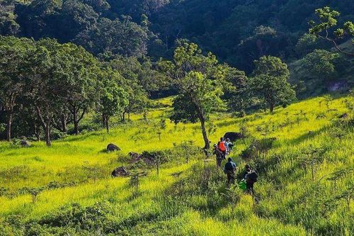 Chấn chỉnh hoạt động trekking, camping tự phát tại Vườn Quốc gia Núi Chúa - Phước Bình