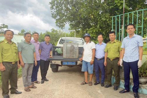 Tiếp nhận và bàn giao cá thể khỉ mặt đỏ thuộc nhóm động vật quý hiếm
