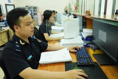 Hướng dẫn chính sách thuế đối với mặt hàng hạt giống nhập khẩu