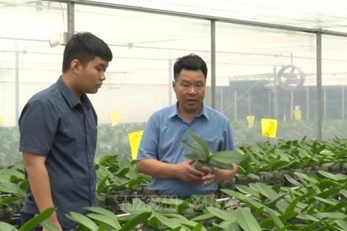 Hội Nông dân Việt Nam: Mục tiêu có thêm 5.000 doanh nghiệp nông nghiệp
