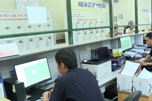 Bãi bỏ 10 thủ tục trong lĩnh vực hải quan
