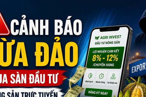 Tin lãi ảo từ 'sàn nông sản' online, người phụ nữ trình báo mất hơn 438 triệu đồng
