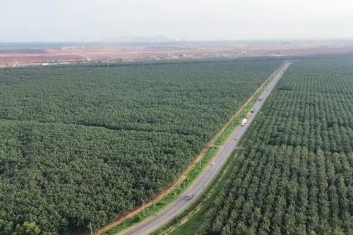Đồng Nai: Phê duyệt phương án bồi thường 6 dự án trọng điểm trước 30/6