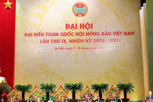 Đẩy mạnh kinh tế nông nghiệp theo chuỗi giá trị, nâng cao năng lực cạnh tranh của nông sản