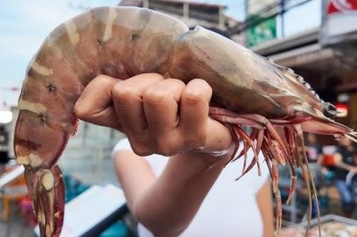 Ngành tôm Thái Lan lao đao vì lệnh cấm nhập khẩu từ Malaysia