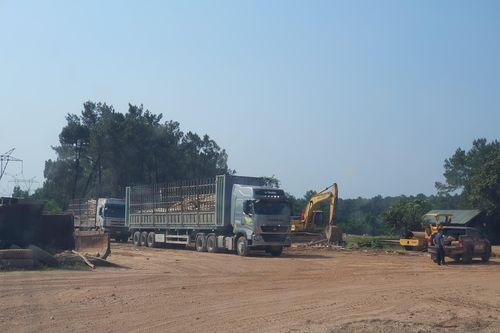 Trạm cân thu mua keo tràm 'lậu' lộng hành ở miền Trung