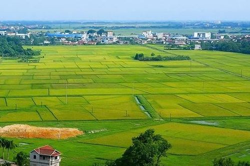 Kế hoạch triển khai cơ chế, chính sách đặc thù để xử lý vi phạm pháp luật về đất đai trước năm 2024
