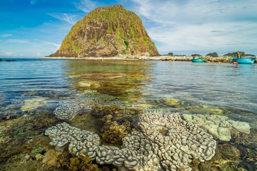 Các chặng bay nội địa và quốc tế khởi hành từ Việt Nam rẻ nhất mùa hè 2026