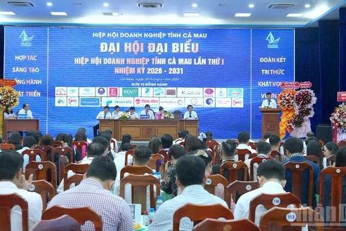 Cộng đồng doanh nghiệp Cà Mau đổi mới tư duy, kiến tạo giá trị mới