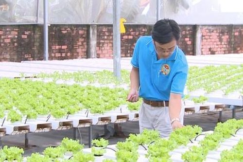 Vườn rau 4.0 của nông dân thời số
