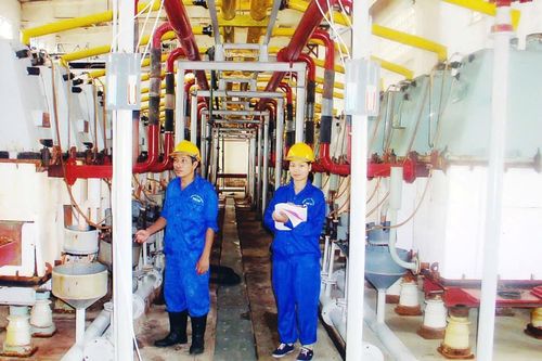 Nhiều vi phạm trong các doanh nghiệp sản xuất, kinh doanh hóa chất