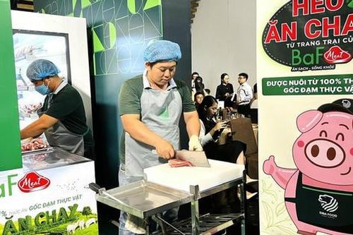BAF Việt Nam bị phạt hơn 820 triệu đồng