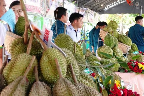Sầu riêng miền Tây không thua kém Thái Lan, vậy vấn đề là gì?