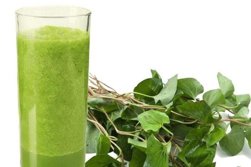 Nước ép diếp cá rất tốt nhưng 3 nhóm người nên tránh xa