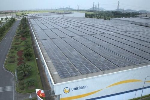 Diana Unicharm đẩy mạnh chiến lược chung tay hành động vì môi trường