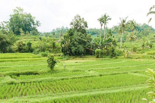 Cháu ngoại học giỏi, nói tiếng Anh như gió về nghỉ hè, ông bà nhận ra điều bất ổn