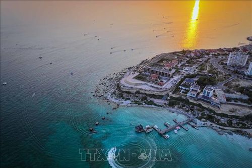 Bên trong 'bức tranh sức khỏe' ngày càng xấu đi của đại dương