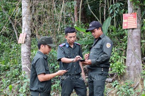 Khoảng trống trong quản lý rừng phòng hộ - Bài 1