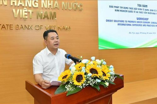 Dư nợ tín dụng xanh đạt quy mô 828.000 tỷ đồng