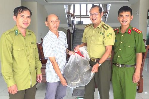 Bàn giao cá thể trăn đất nặng 20kg cho Chi cục Kiểm lâm tỉnh An Giang