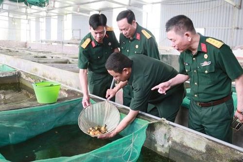 Phát huy phẩm chất người lính Cụ Hồ trên mặt trận kinh tế