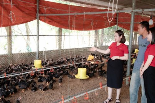 Giảm lãi suất, tăng khả năng hấp thụ vốn