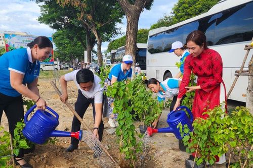 Khoác áo mới cho khu đất trống