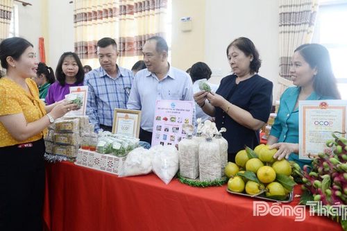 Tiếp sức để phụ nữ vững tin làm chủ kinh tế tập thể