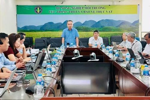 Nhiều địa phương chậm gửi mẫu dấu, xuất khẩu gạo thơm có thể bị ảnh hưởng
