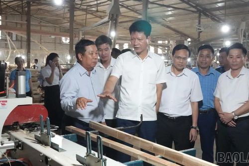 Phó Bí thư Tỉnh ủy, Chủ tịch Ủy ban MTTQ Việt Nam tỉnh Nguyễn Thế Phước kiểm tra các mô hình sản xuất tại xã Trấn Yên