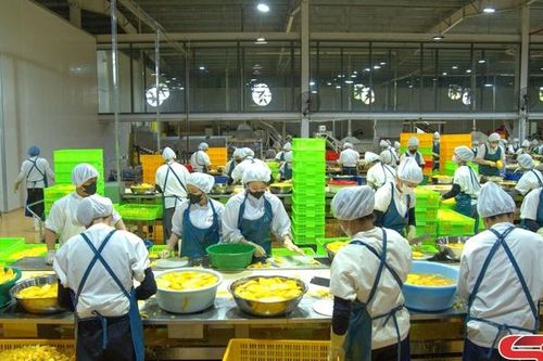 Tăng giá trị cây ăn quả từ chế biến sâu