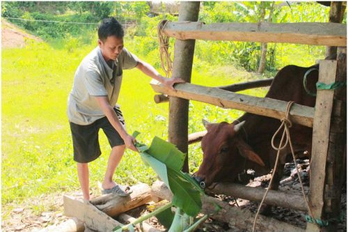 Đổi mới cơ chế quản lý Chương trình giảm nghèo: Tăng phân cấp, lấy người dân làm trung tâm