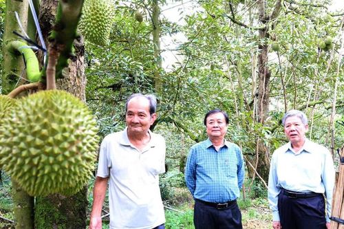 Đồng Tháp làm gì để nông sản vươn xa, đời sống nông dân khấm khá hơn?