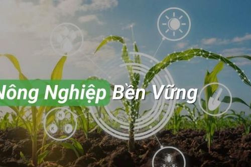 Đề xuất tiêu chí vùng nguyên liệu đạt chuẩn để thúc đẩy liên kết chuỗi giá trị nông nghiệp bền vững