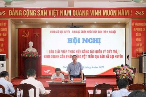 Xã Đại Xuyên tăng cường quản lý hoạt động giết mổ, bảo đảm an toàn thực phẩm