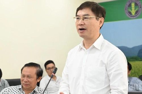 Xây dựng tiêu chuẩn sản xuất rau an toàn thực phẩm theo hướng đơn giản, dễ áp dụng