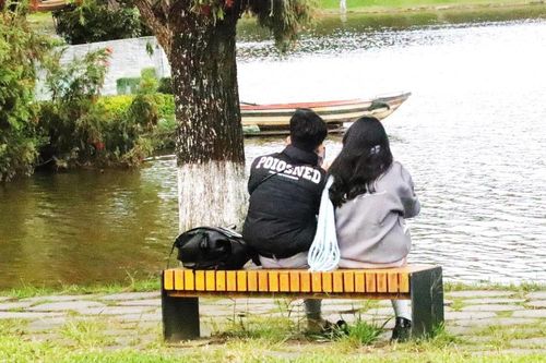 Ghế đá dành cho những cuộc tình