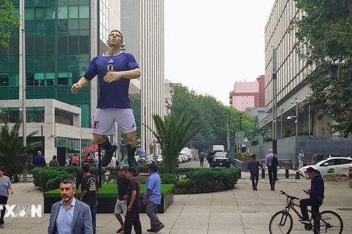 World Cup 2026: Khám phá các đại bản doanh đặc biệt