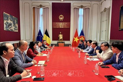 Trí thức Việt Nam tại Bỉ, Luxembourg sẵn sàng đồng hành cùng Huế trên hành trình phát triển