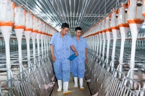 BAF Việt Nam bị phạt hơn 820 triệu đồng