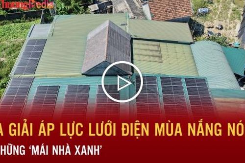 Hóa giải áp lực lưới điện mùa nắng nóng từ những 'mái nhà xanh'