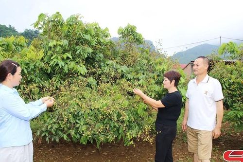 Điểm tựa giúp nông dân vươn lên làm giàu